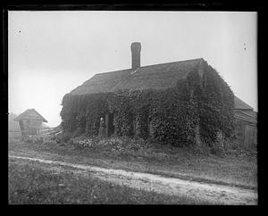 Ivy covered house