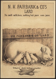 N. K. Fairbank & Co's lard, no swill milk here, nothing but pure corn juice