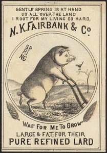 N. K. Fairbank & Co. - Gentle spring is at hand so all over the land I root for my living so hard, wait for me to grow large & fat, for their pure refined lard