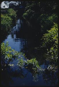 Brook, Monponsett