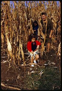 Two girls and a woman standing in cornfield