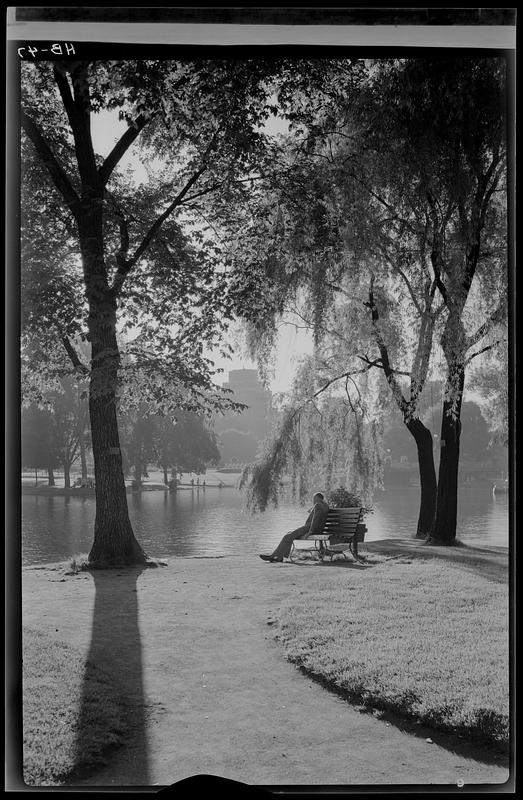 Public Garden, Boston Digital Commonwealth