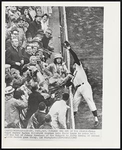Minneapolis - St. Paul – Takes One Out Of The Stands – Twins third sacker Harmon Killebrew reaches into field boxes to catch ball off the bat of Johnny Roseboro of the Dodgers in fifth inning of second World Series game today.