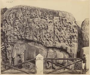 Animals crowding in to admire Arjuna performing Penance [Mamallapuram]