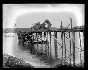 Seagulls perched on top of a pier