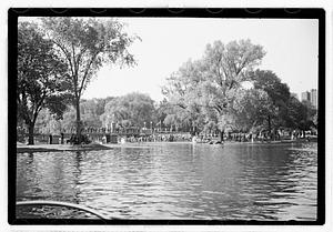 People on a swan boat
