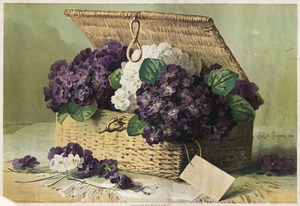 Invoice of violets