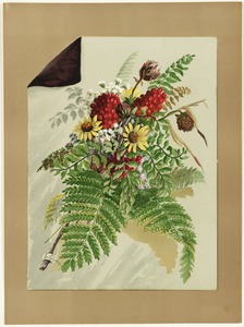 Flowers and ferns
