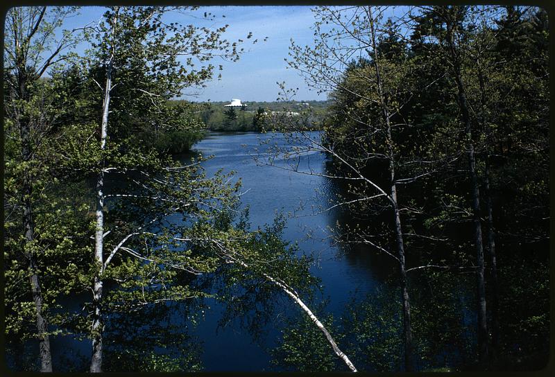 Charles River Newton: Downstream from rear of Marriott towards Brandeis University