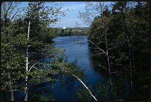 Charles River Newton: Downstream from rear of Marriott towards Brandeis University