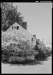Marblehead, Middle Street, flowering tree and Flatiron House