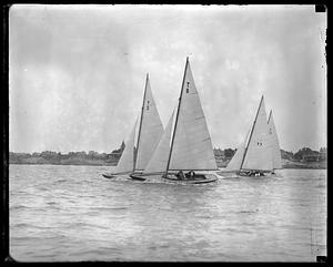 Sailboats