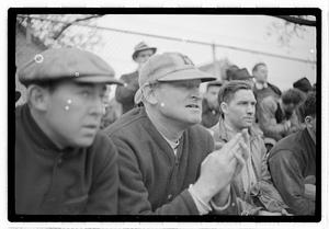Baseball game spectators