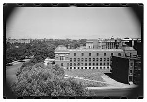 Black Forest and views from roof - Gertrude Sands