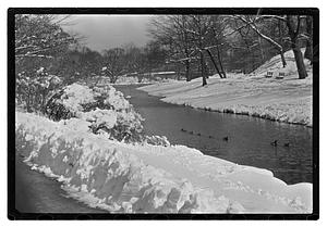 Snow pictures - Fenway