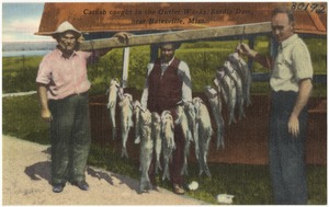Catfish caught in the outlet works, Sardis Dam, near Batesville, Miss.