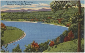 Taney Vista on Lake Taneycomo, Shepherds of the Hills Country