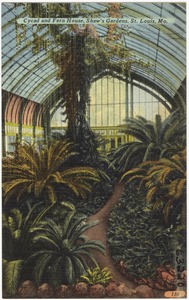 Cycad and Fern House, Shaw's Garden, St. Louis, Mo.