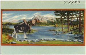 Loyal order of Moose, Kalispell Lodge No. 462, room 9, Adams Block, Kalispell, Montana
