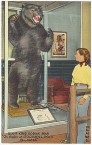 Giant King Kodak Bear, on display at Stockmen's Hotel, Elko, Nevada