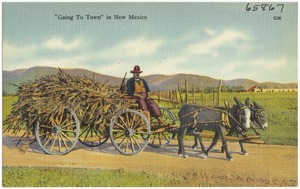 "Going to town" in New Mexico