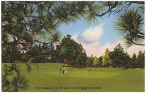 T-27. Golfing in the land of the long leaf pine.