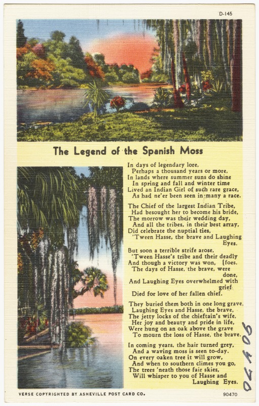The legend of the Spanish moss Digital Commonwealth