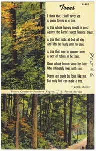 Trees