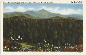 Mount Pisgah and the Rat, Western North Carolina