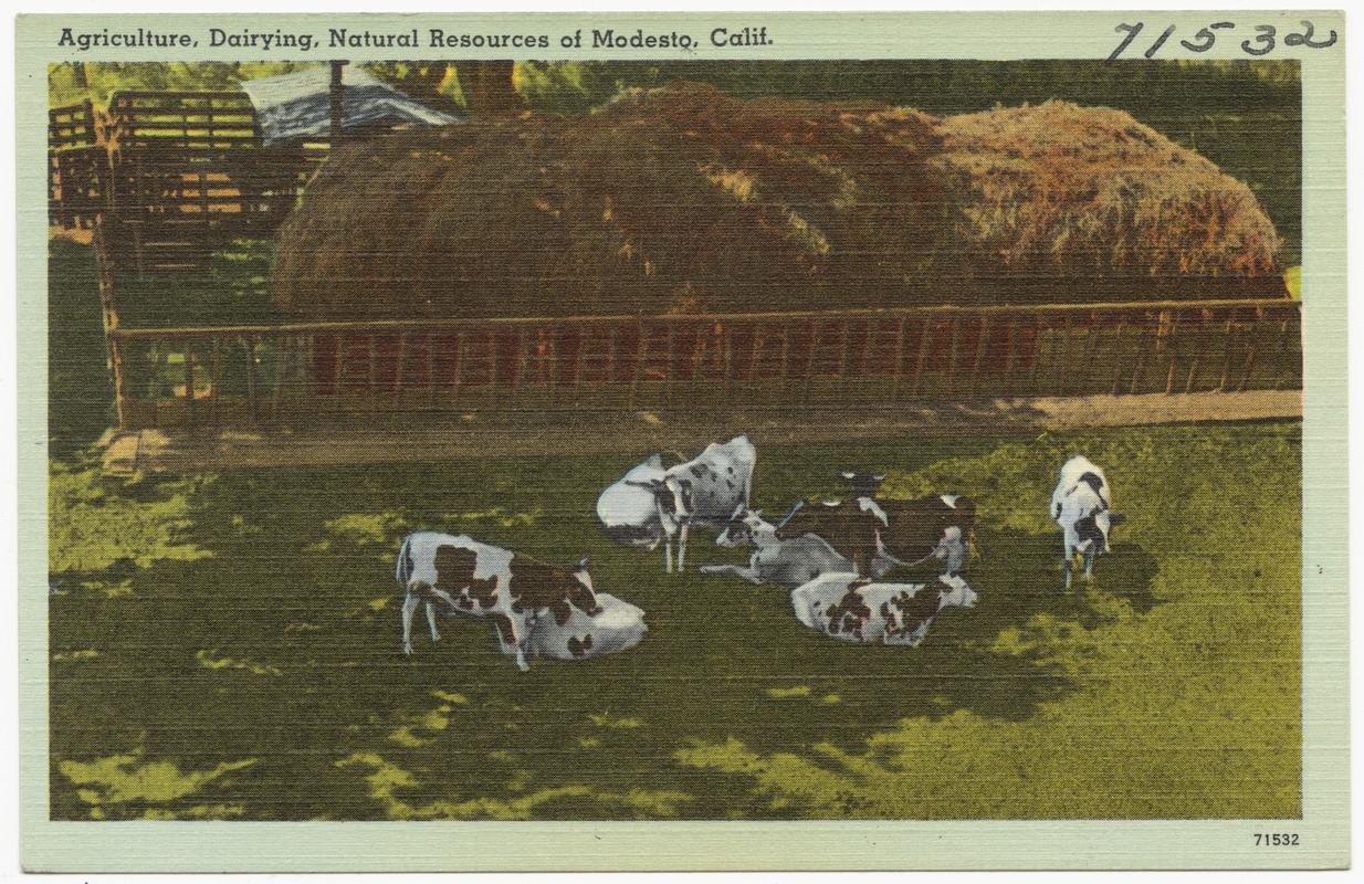 Agriculture, Dairying, Natural Resources of Modesto, Calif.