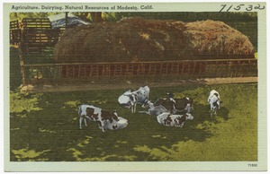 Agriculture, Dairying, Natural Resources of Modesto, Calif.