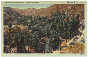 Picturesque Palm Springs Canyon, California