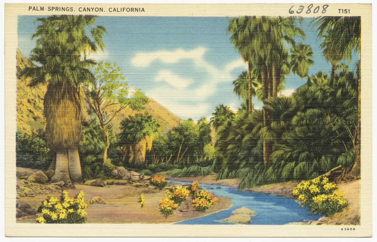 Palm Springs, Canyon, California