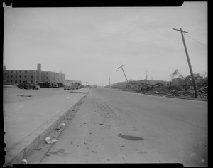 Road with downed trees and debris left by tornado