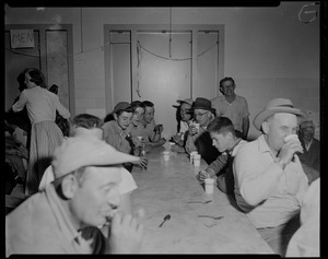 Group of people seated at table, eating and drinking