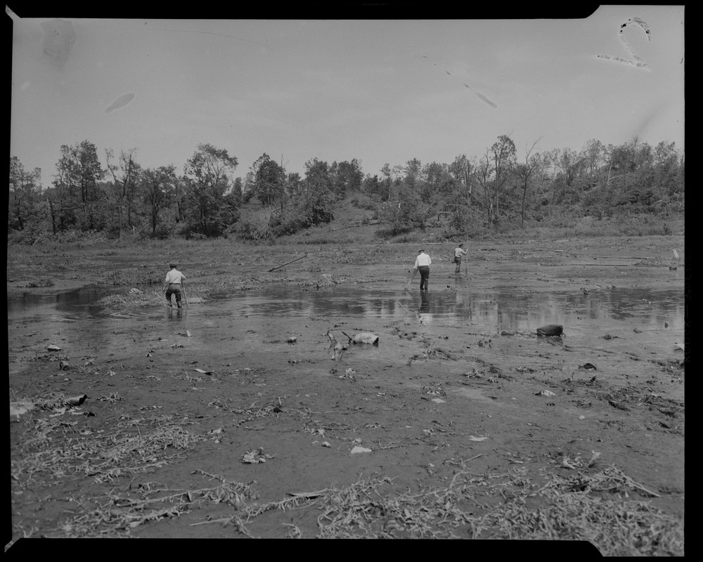 People walking through flooded fields