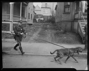 Police officer holding leash of dog