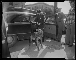 Police officer holding leash of dog next to car