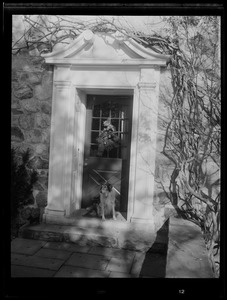 Dog seated in front of door with wreath