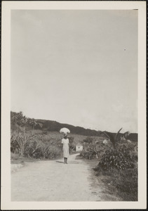 A road in Barbados, B. W. I., transporting the laundry