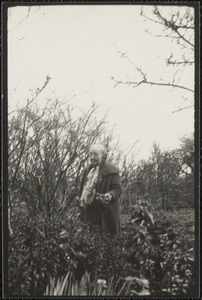 Miss Gleeson in the garden at Dun Emer