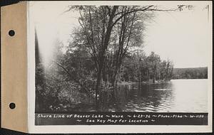 Shore line of Beaver Lake, Ware, Mass., Jun. 23, 1936