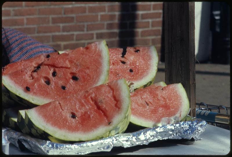 Watermelon slices