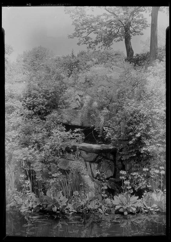 Mrs. W. H. Moore's rock garden (vert.)