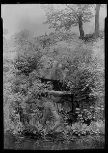 Mrs. W. H. Moore's rock garden (vert.)