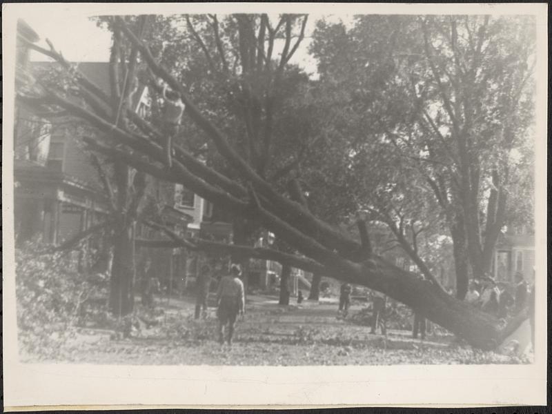 Lower Mills reconstruction Digital Commonwealth