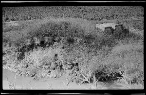 Small wooden structures in brush