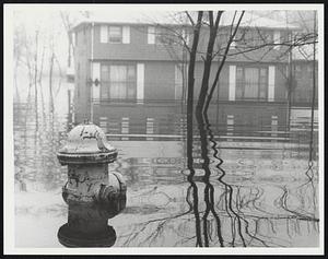 Flooded street, fire hydrant in water
