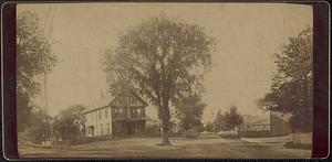 C.F. Bryant Store at Billings and Pond Street with a tree in foreground