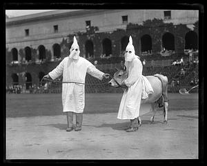 Two people dressed as members of the Ku Klux Klan with a cow